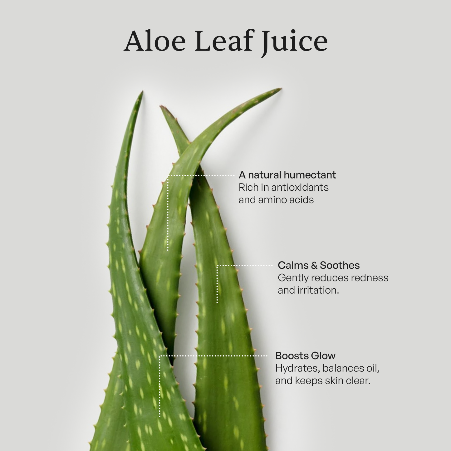 Clean & Hydrate Face Duo