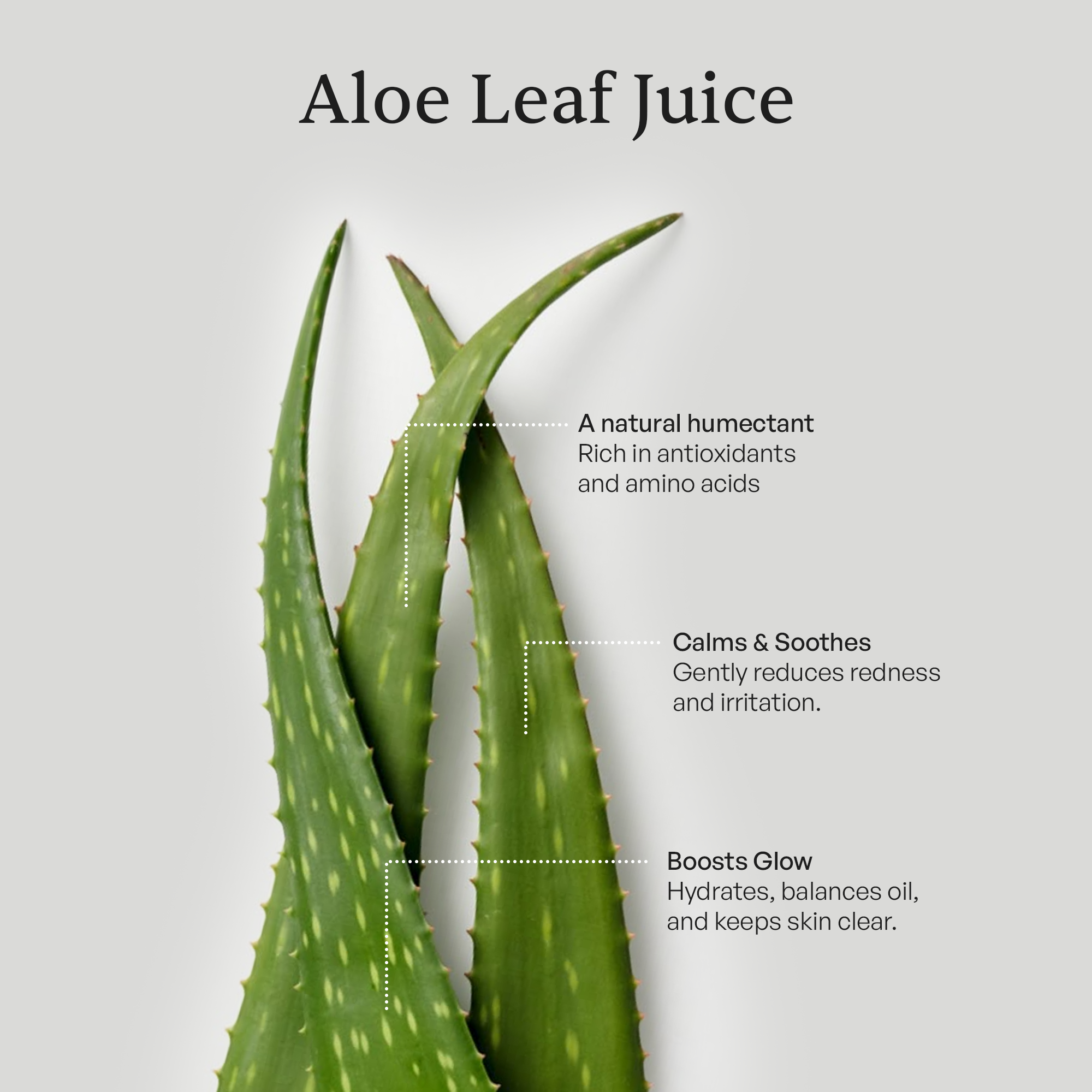 Clean & Hydrate Face Duo