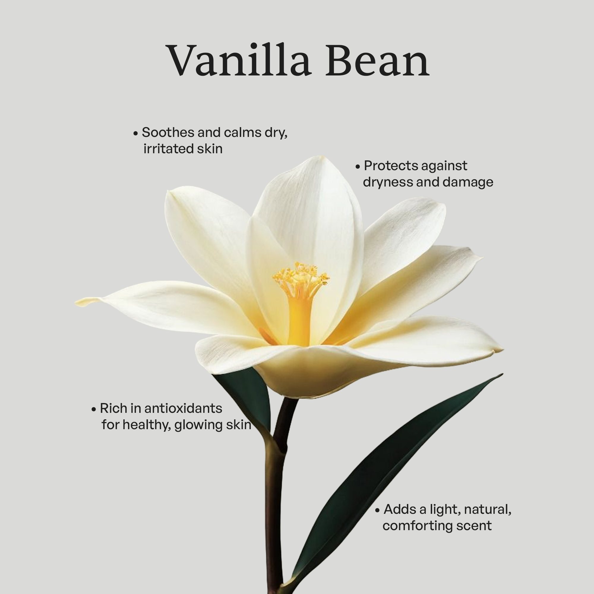 Grass-Fed Whipped Tallow